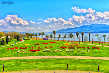 Mutlu Şehir Kocaeli..