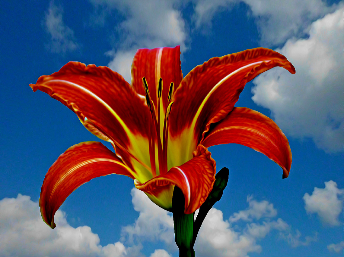 BLÜTE