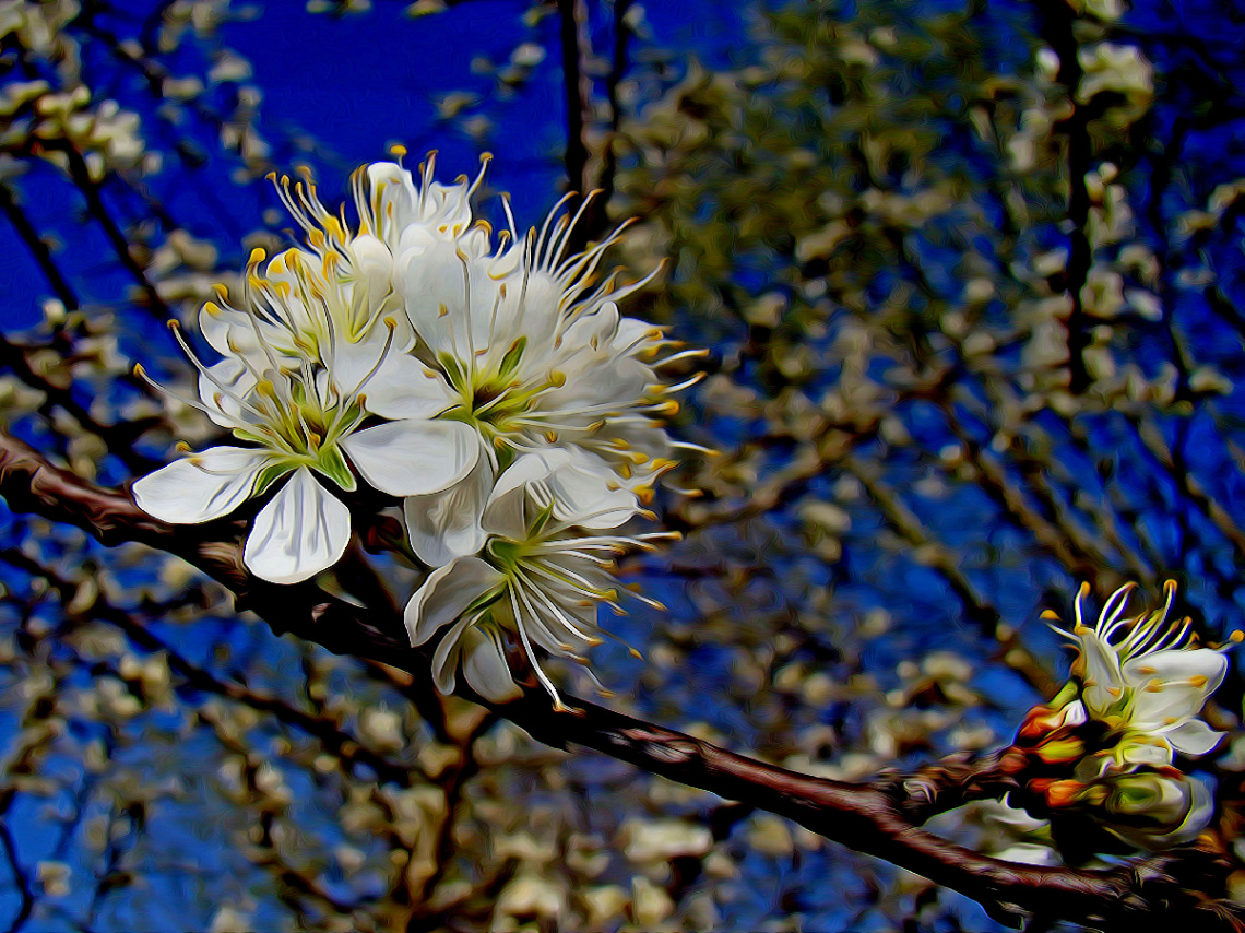 BLÜTEN