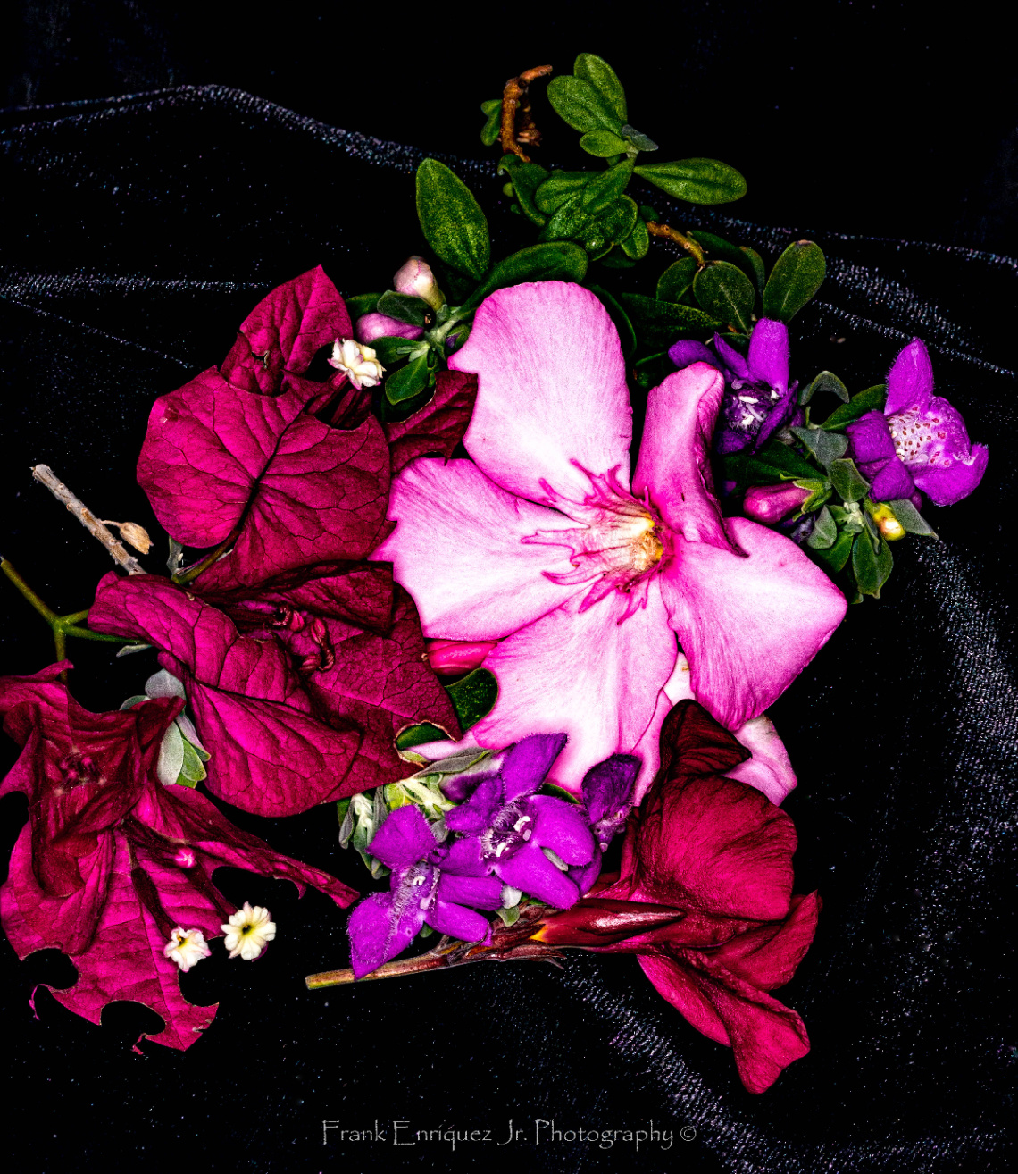 Desert Flowers