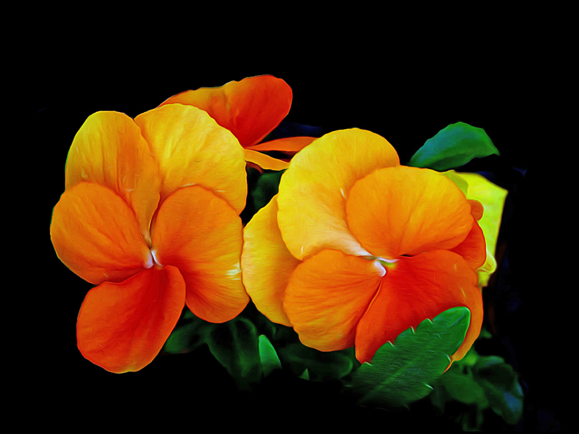 BLÜTEN