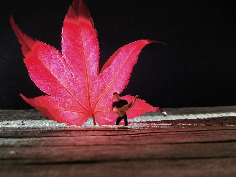 Miniciks Hayatlar Resital