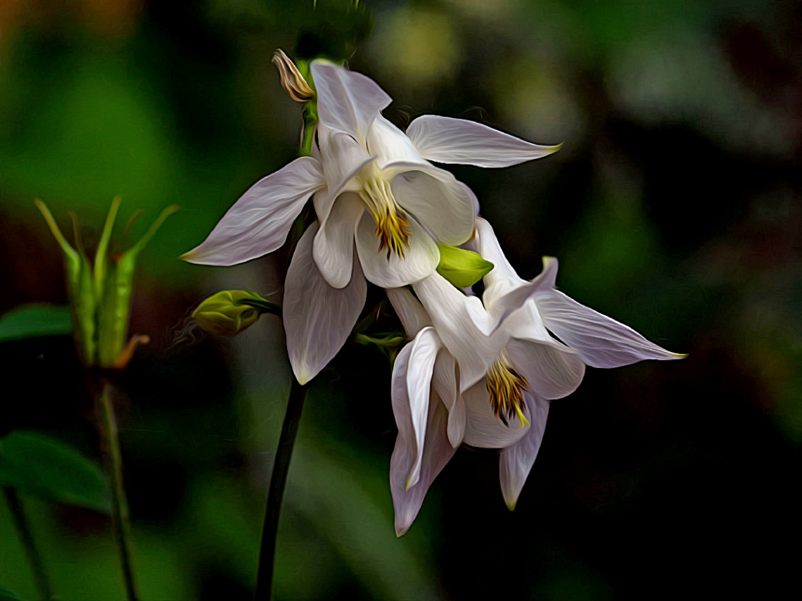 BLÜTEN