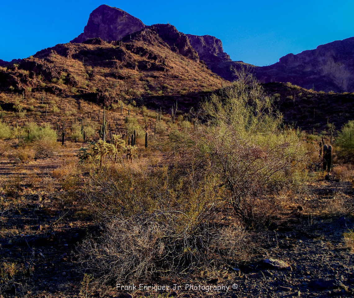 Picacho Peak In Arizona USA