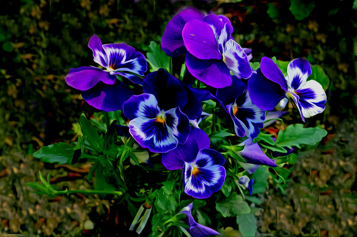 BLÜTEN