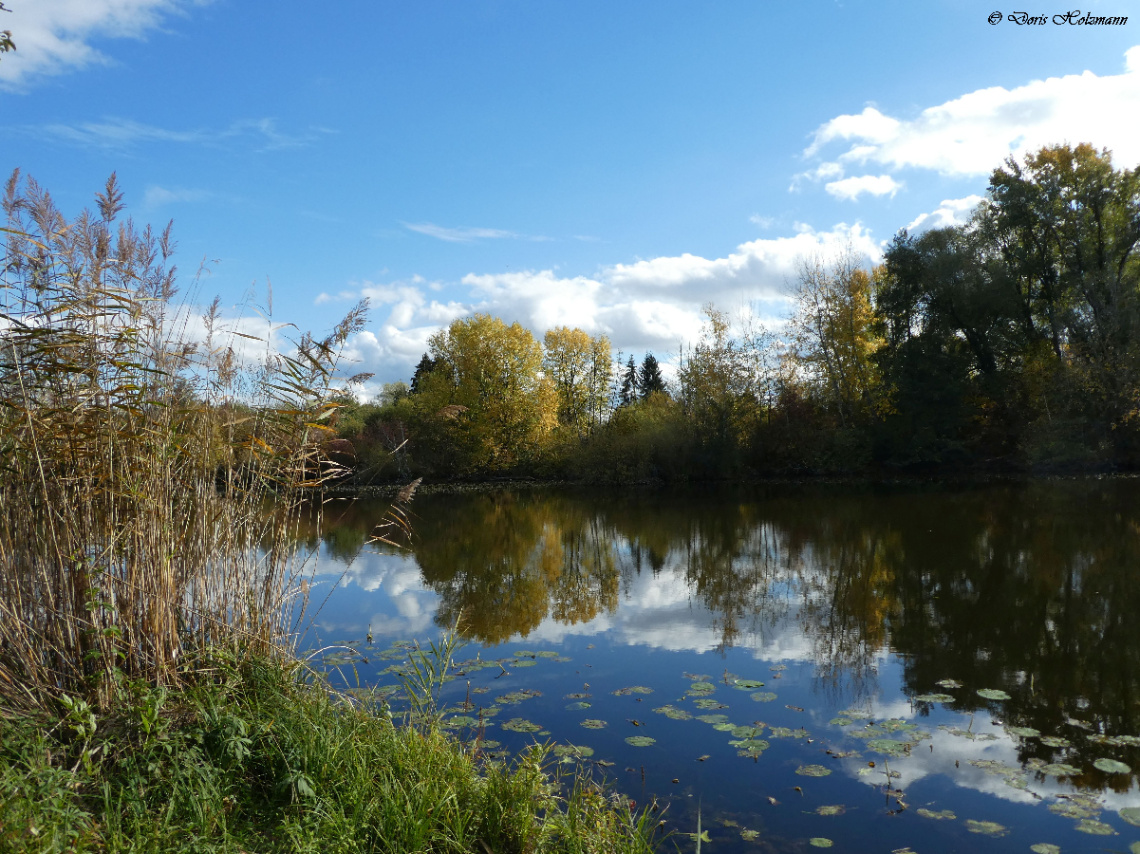 Saumseen nature reserve, Karlsruhe / Germany 