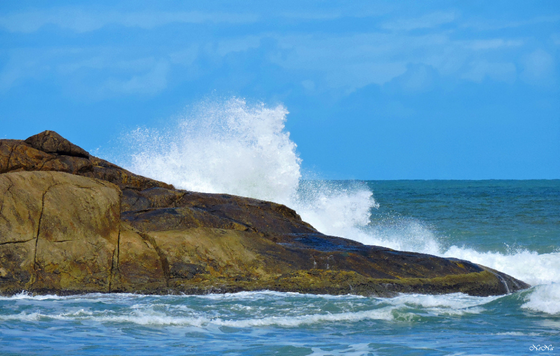 Waves