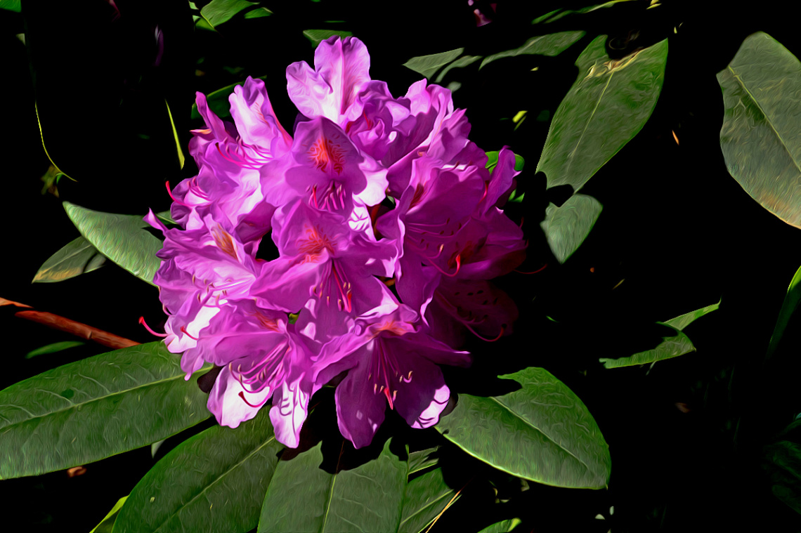 BLÜTEN