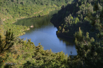 Gölet