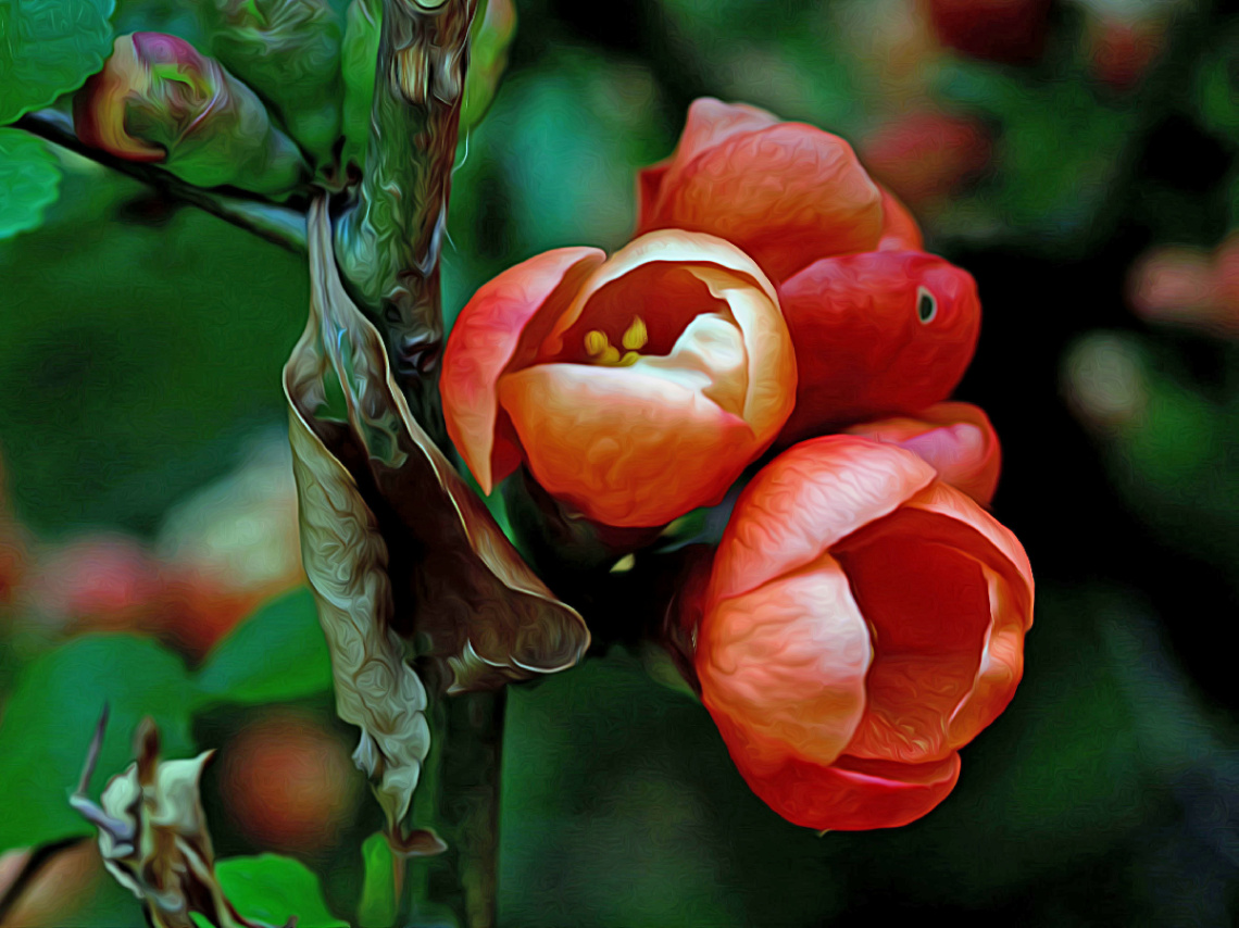 BLÜTEN