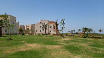 Egypt  - Alain alsokhna 