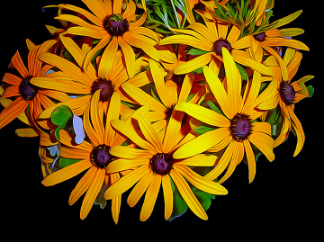 BLÜTEN