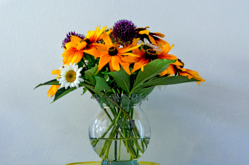 BLUMEN