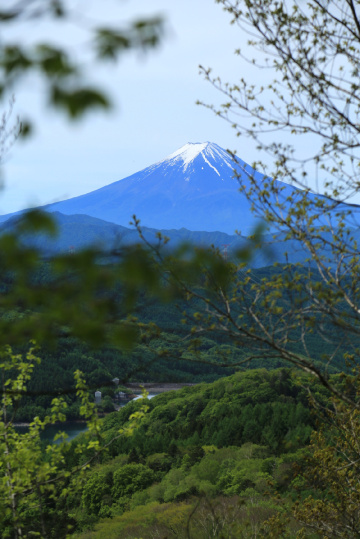 Mt.Fuji