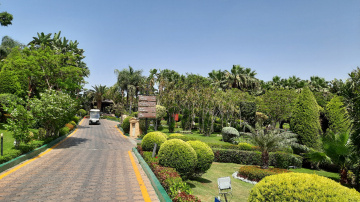 Egypt   - Cairo  
