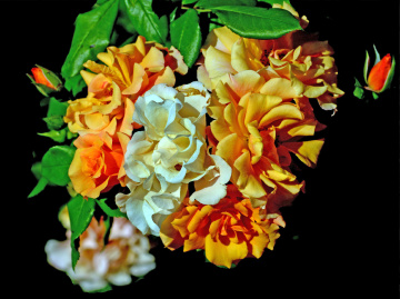 BLÜTEN