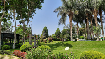 Egypt   - Cairo 