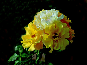 BLÜTEN