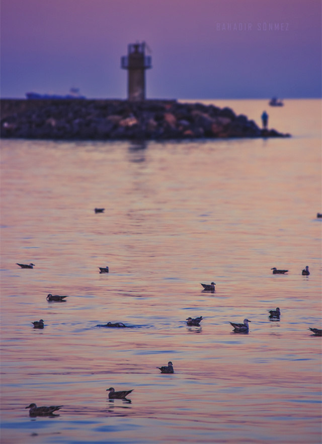 Tekirdağ