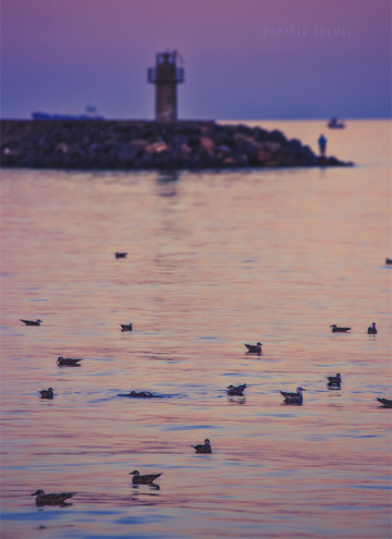 Tekirdağ