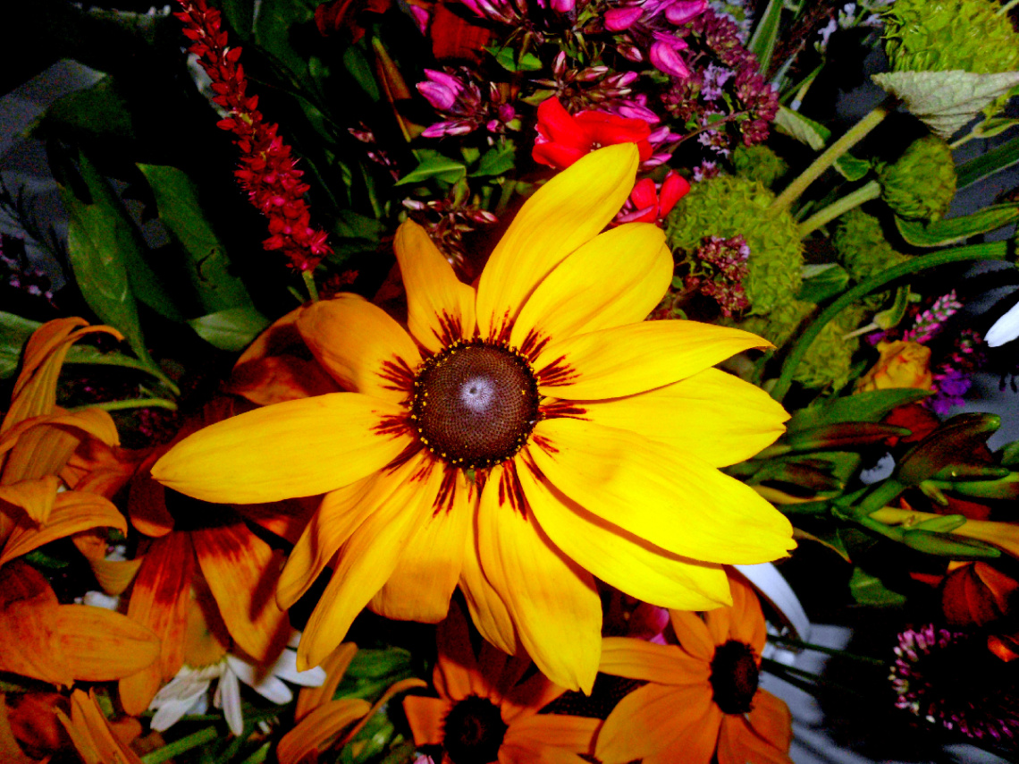 BLÜTE