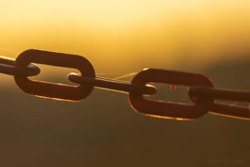 Kızgın demirde örümcek ağı