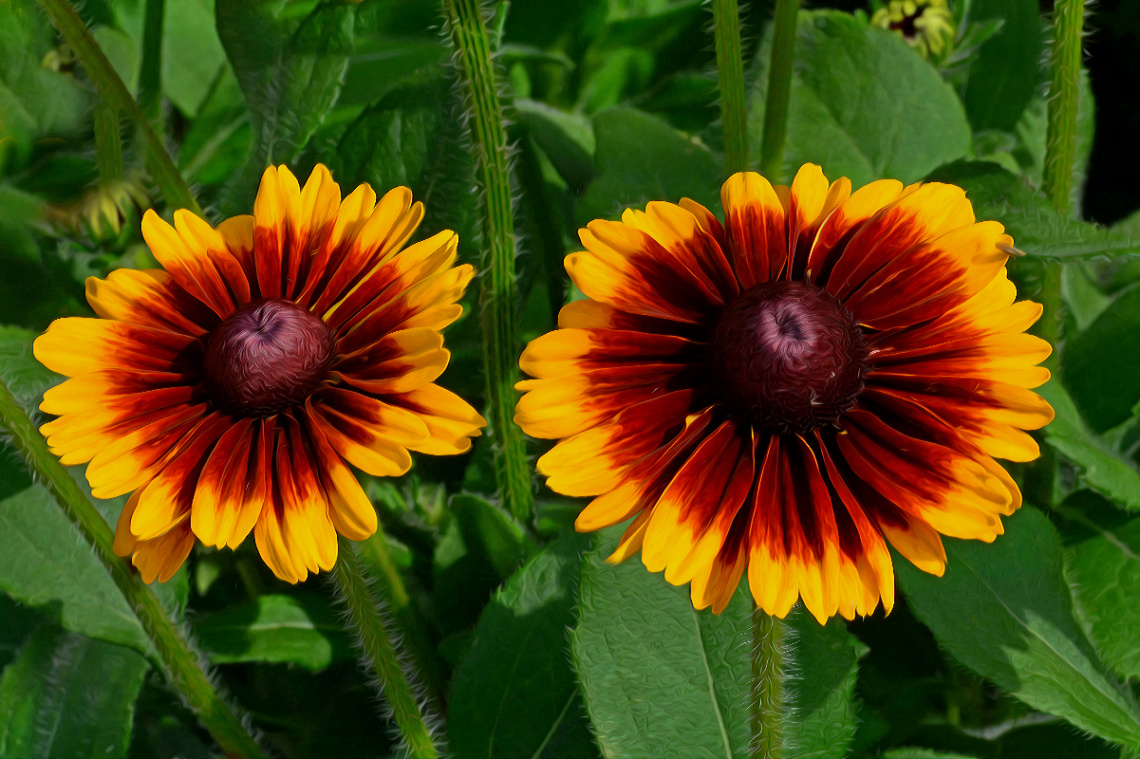 BLÜTEN