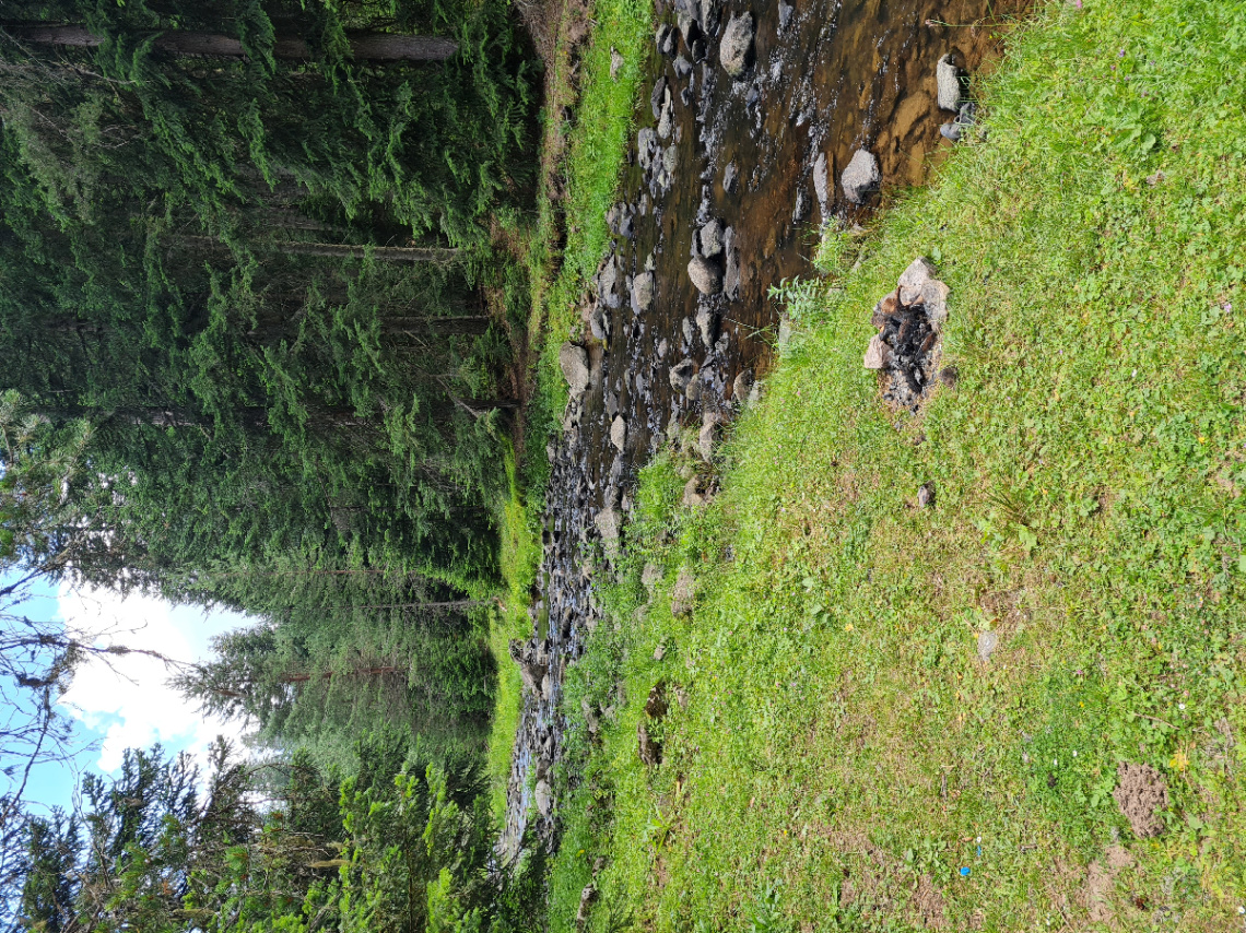 Sarıalan yaylası  / Kartalkaya/ Bolu 