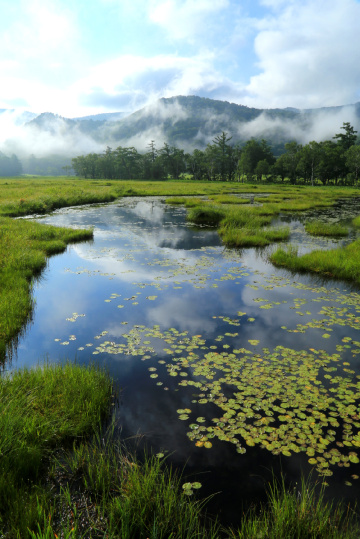 Pond
