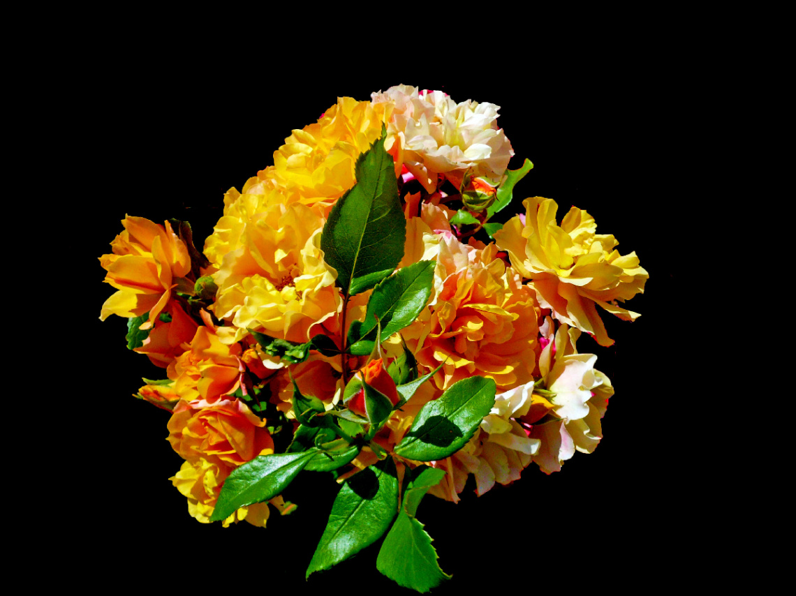 BLÜTEN