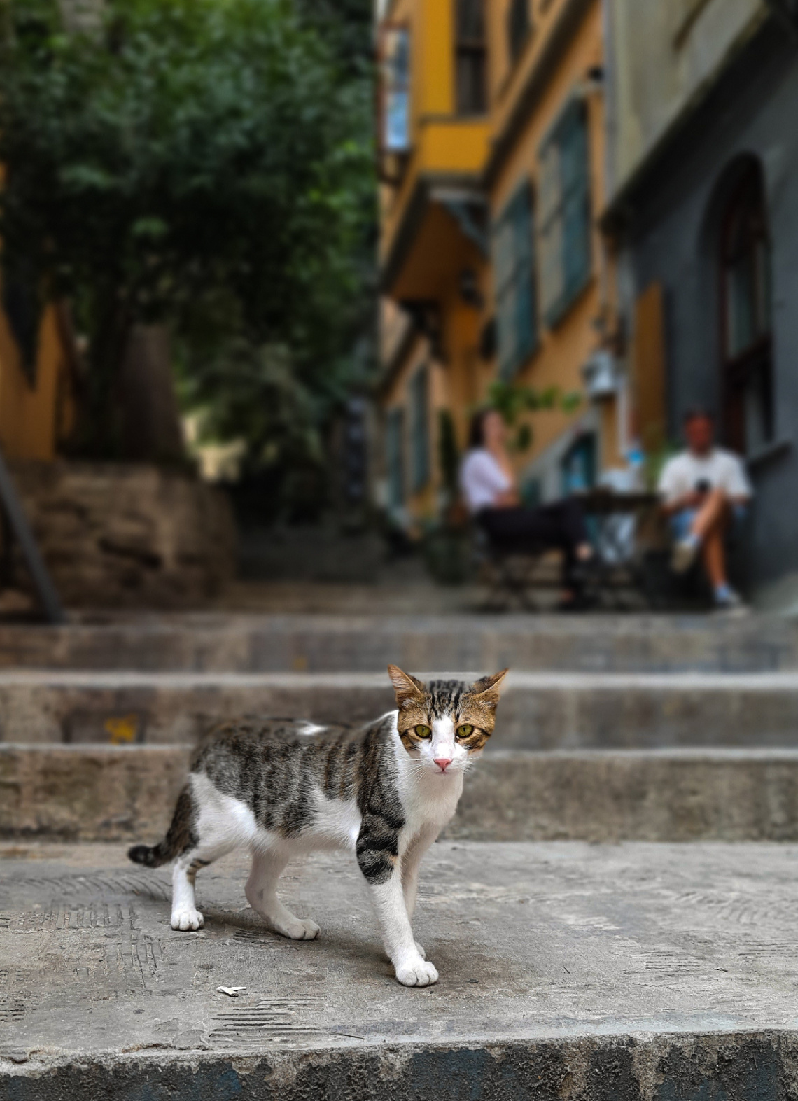 Galata Sokakları