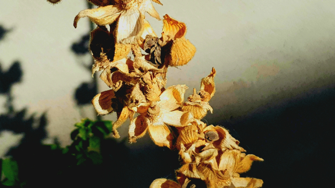 Mission accomplished? 