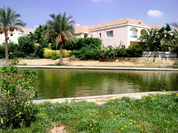 Egypt  - Cairo  