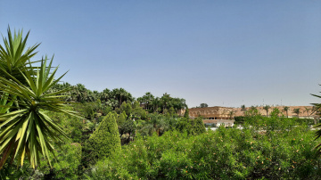 Egypt   - Cairo  