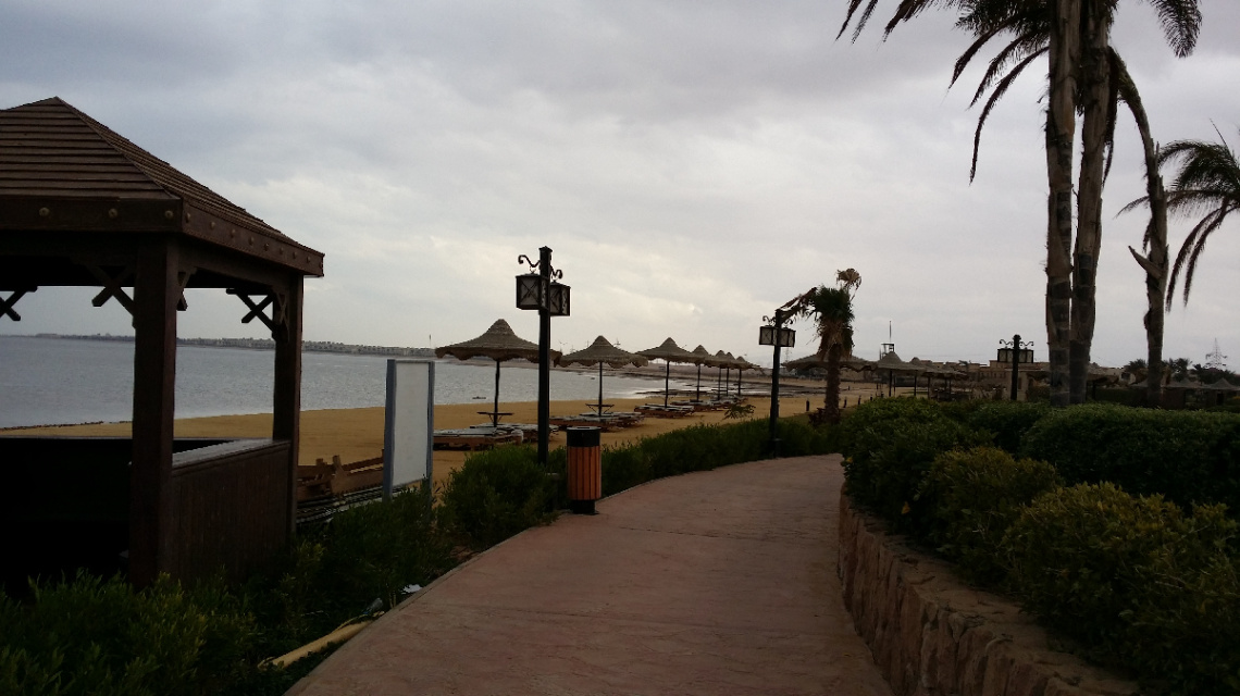Egypt  - Alzaafrana   - 