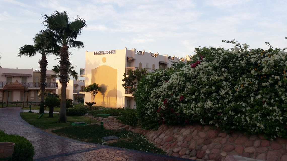 Egypt  - Sharm Alsheikh