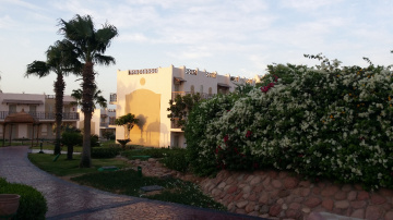 Egypt  - Sharm Alsheikh