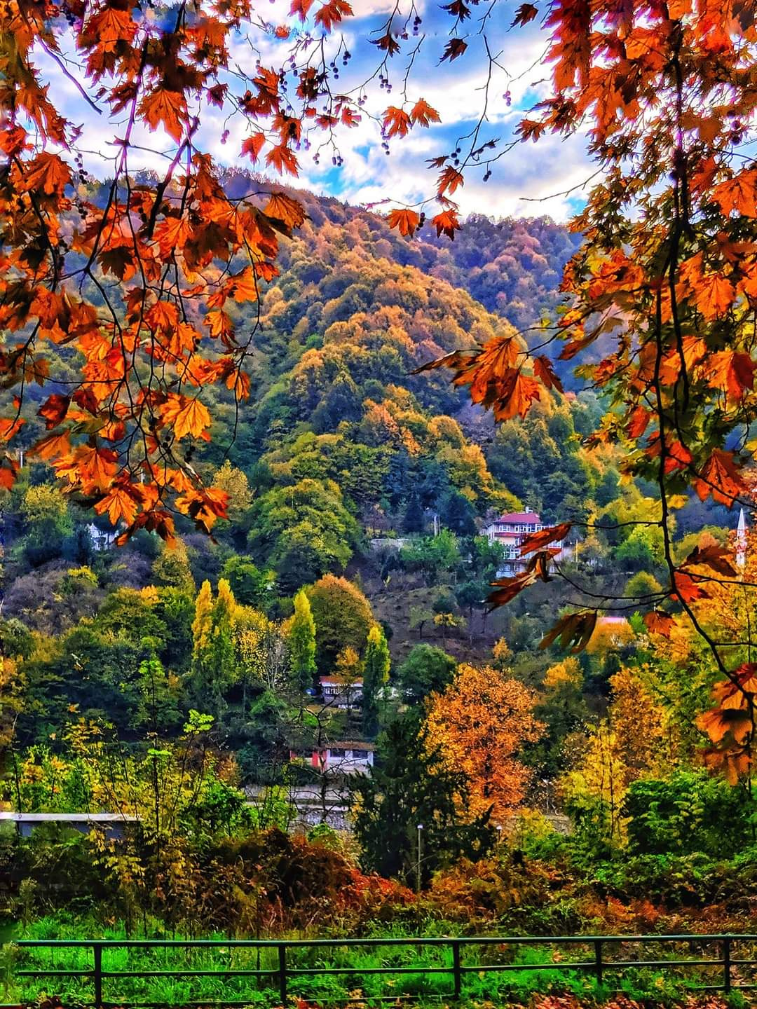 Güz Renkleri