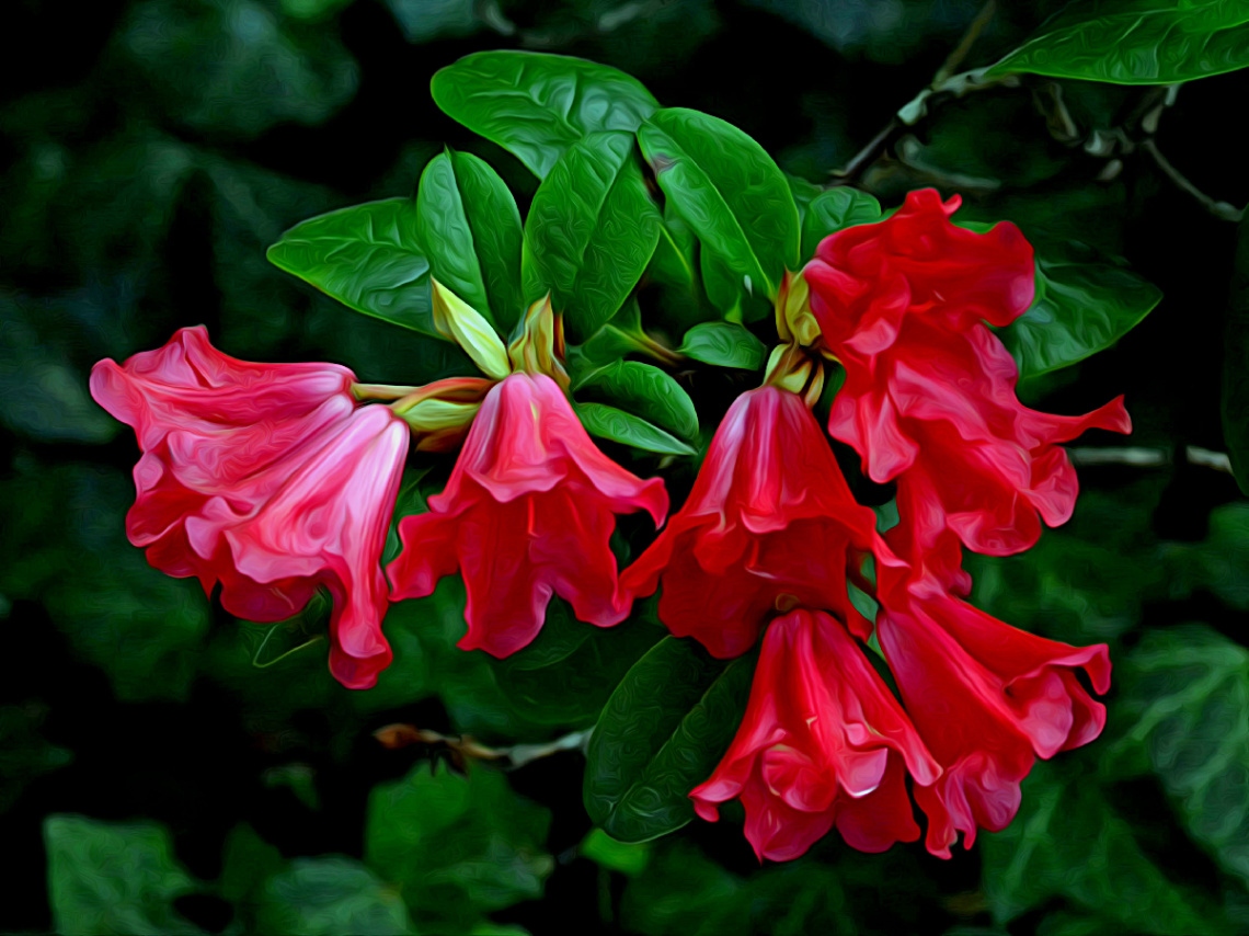 BLÜTEN