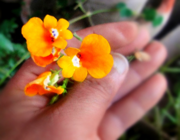 For You