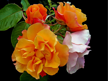 BLÜTEN