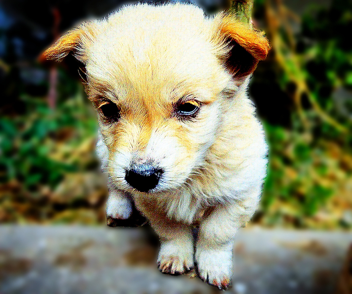 Thinker 