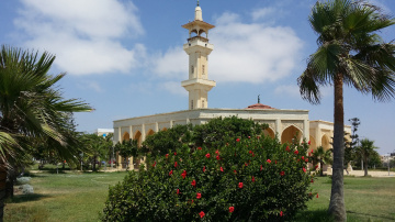 Egypt  - Cairo   -  North coast 
