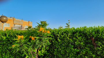 Egypt  - Alexandria - North Coast
