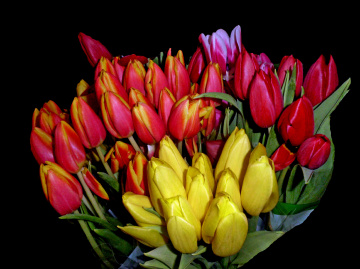 BLÜTEN