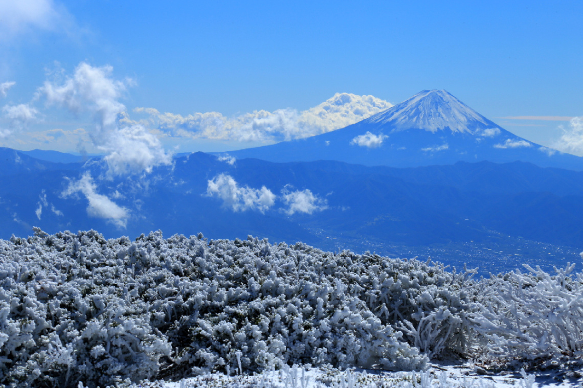 After snow morning