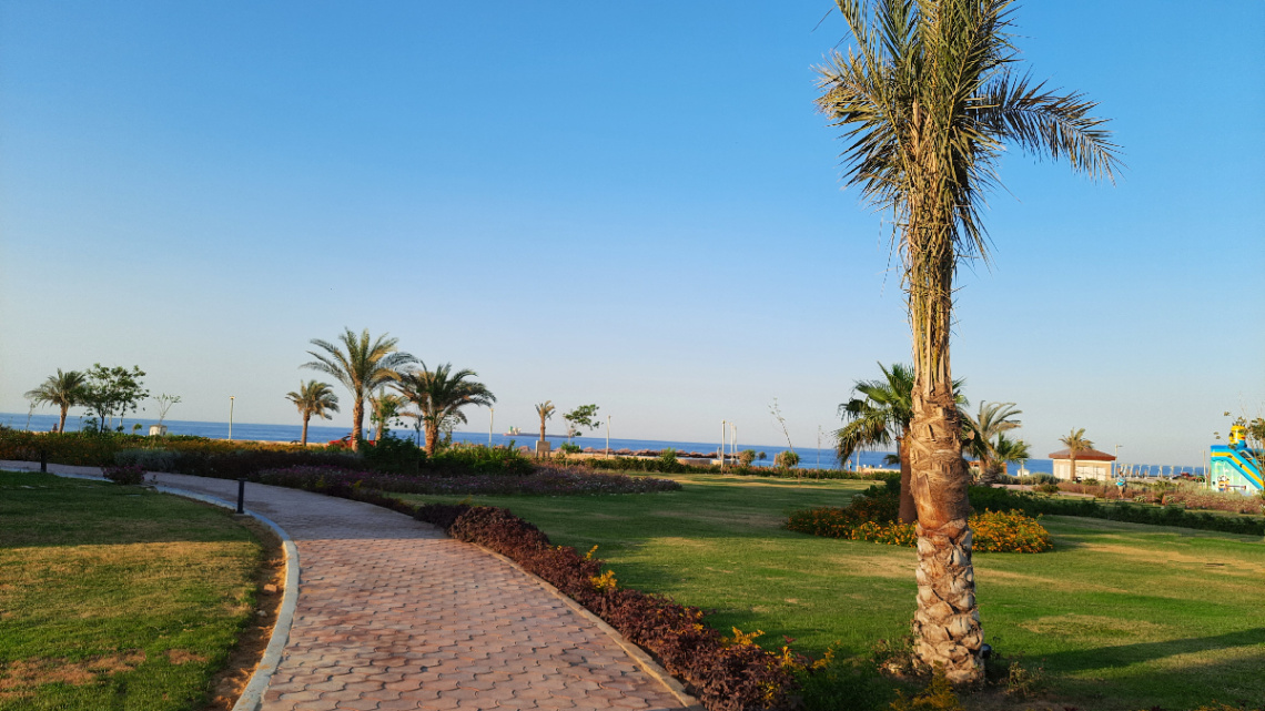 Egypt  - Alain alsokhna 