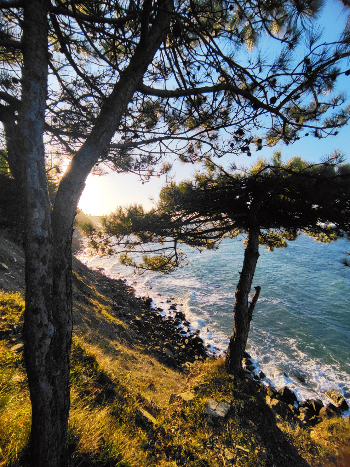 Karadeniz