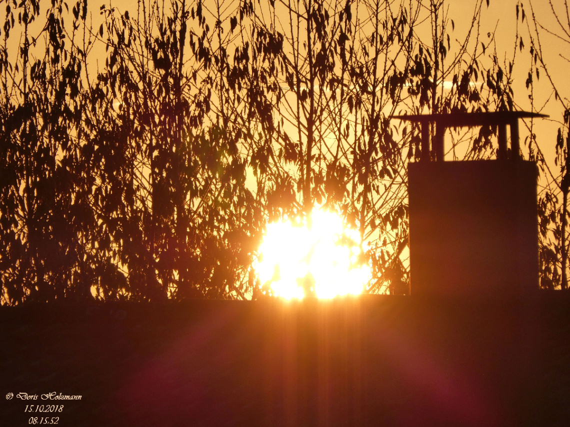 Sunrise