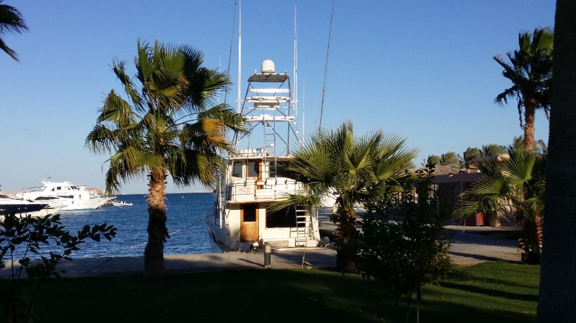 Egypt - Hurghada - Good Morning 